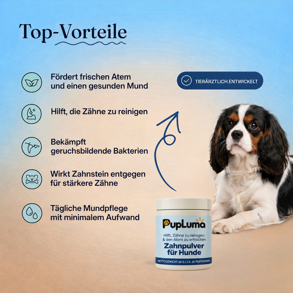 Zahnpulver – Frischerer Atem, sauberere Zähne und gesünderes Zahnfleisch bei Hunden