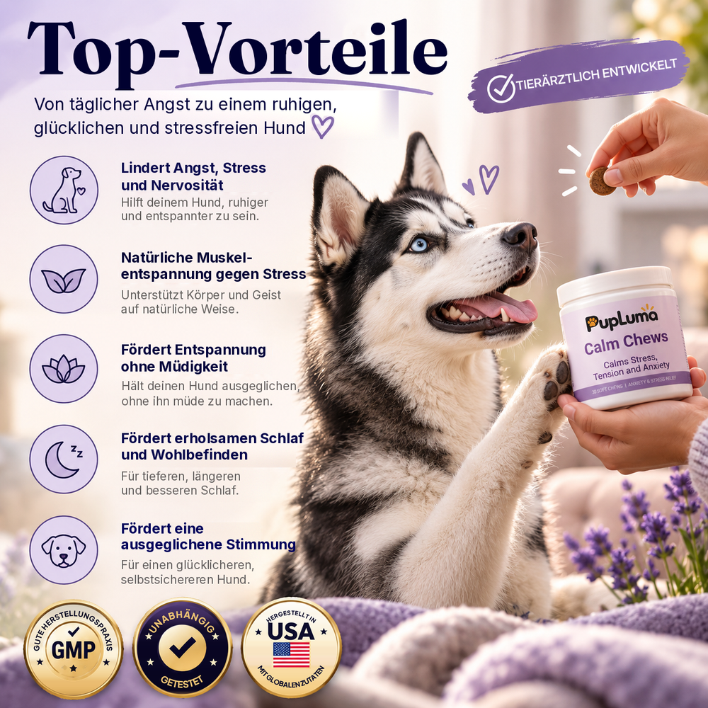Beruhigungs-Snacks – Gegen Angst und Stress bei Hunden