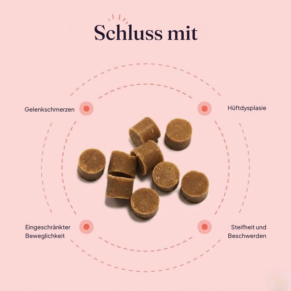 Hüft- & Gelenk-Snacks – Gegen Entzündungen und für langanhaltende Beweglichkeit bei Hunden
