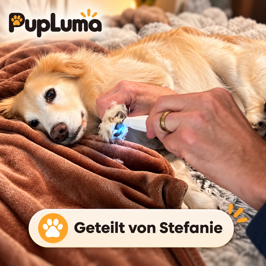 PupLuma Krallenschleifer – Elektrische Krallenpflege für Hunde, leise und kabellos