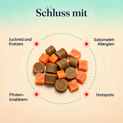 Allergie-Snacks gegen Juckreiz, saisonale Allergien, Pfotenknabbern und Hotspots