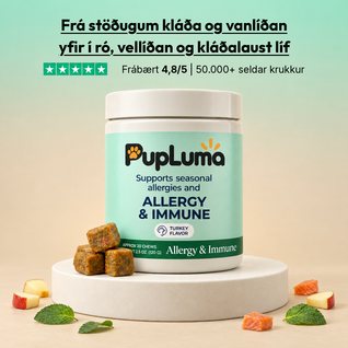 Allergie- & Immun-Snacks – Gegen Juckreiz, für gesunde Haut und Schutz vor saisonalen Allergien bei Hunden