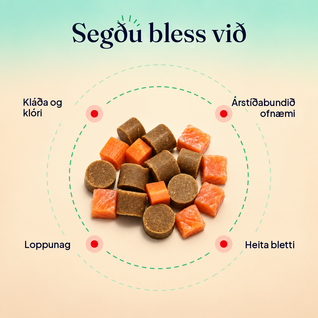 Allergie- & Immun-Snacks – Gegen Juckreiz, für gesunde Haut und Schutz vor saisonalen Allergien bei Hunden