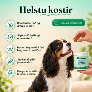 Allergie- & Immun-Snacks – Gegen Juckreiz, für gesunde Haut und Schutz vor saisonalen Allergien bei Hunden