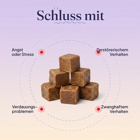 Beruhigungs-Snacks gegen Angst, Zerstörungswut und Zwangsverhalten