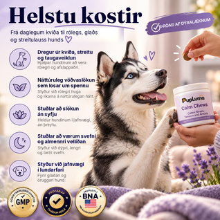 Beruhigungs-Snacks – Gegen Angst und Stress bei Hunden