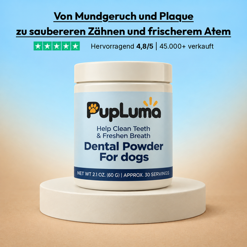 Zahnpulver – Frischerer Atem, sauberere Zähne und gesünderes Zahnfleisch bei Hunden