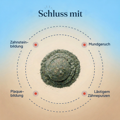 Zahnpulver – Frischerer Atem, sauberere Zähne und gesünderes Zahnfleisch bei Hunden