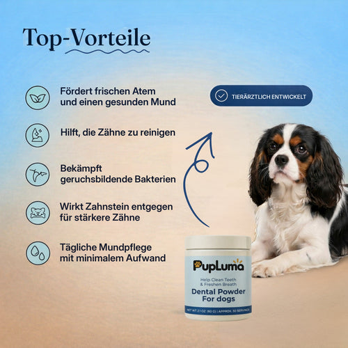 Zahnpulver – Frischerer Atem, sauberere Zähne und gesünderes Zahnfleisch bei Hunden