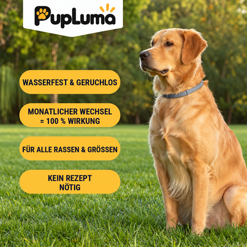 Floh- & Zeckenhalsband – Maximaler Schutz vor Flöhen, Zecken und Läusen für Hunde