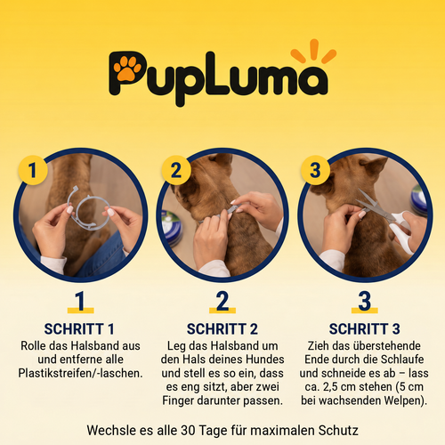 Floh- & Zeckenhalsband – Maximaler Schutz vor Flöhen, Zecken und Läusen für Hunde