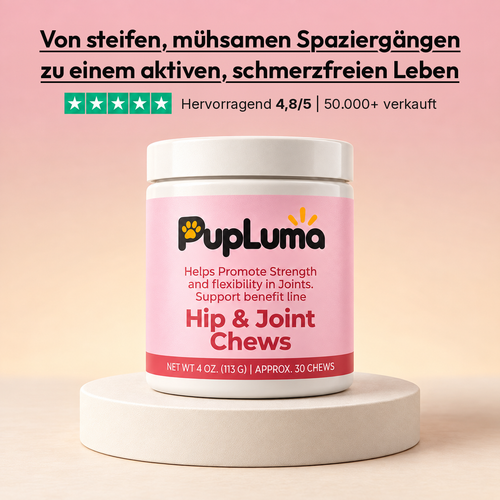 Hüft- & Gelenk-Snacks – Gegen Entzündungen und für langanhaltende Beweglichkeit bei Hunden