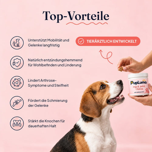 Hüft- & Gelenk-Snacks – Gegen Entzündungen und für langanhaltende Beweglichkeit bei Hunden