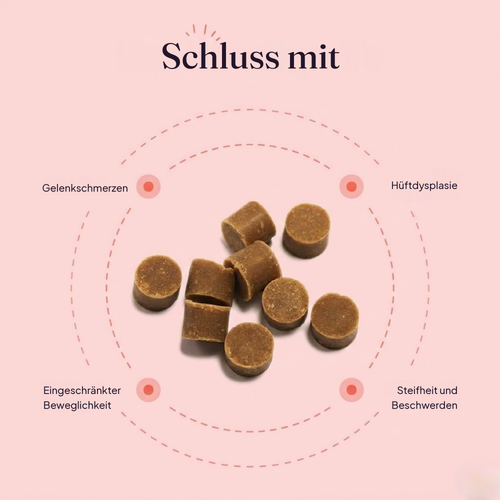 Hüft- & Gelenk-Snacks – Gegen Entzündungen und für langanhaltende Beweglichkeit bei Hunden