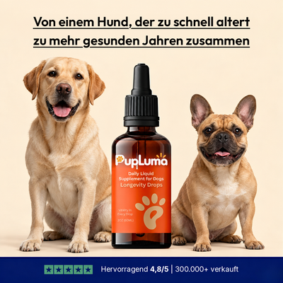 PupLuma Longevity-Tropfen für ältere Hunde