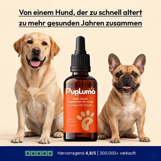 PupLuma Longevity-Tropfen für ältere Hunde