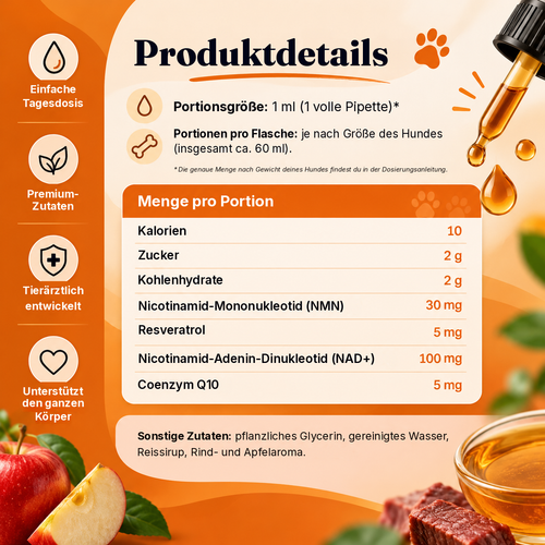 Longevity-Tropfen – NAD+ und NMN für gesundes Altern und Zellvitalität bei Hunden