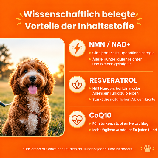 Wissenschaftlich gestützte Vorteile von NMN/NAD+, Resveratrol und CoQ10