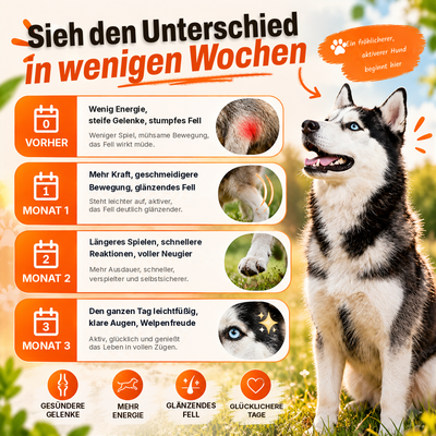 Ergebnisse der Longevity-Tropfen Woche für Woche