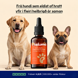 Longevity-Tropfen – NAD+ und NMN für gesundes Altern und Zellvitalität bei Hunden