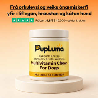 Multivitamin-Snacks – Tägliche Energie, starkes Immunsystem und Wohlbefinden für den ganzen Körper deines Hundes