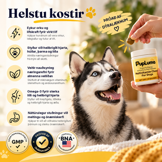 Multivitamin-Snacks – Tägliche Energie, starkes Immunsystem und Wohlbefinden für den ganzen Körper deines Hundes