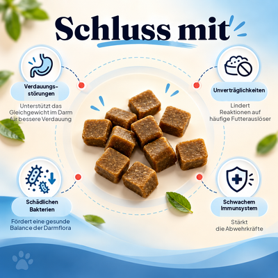 Probiotik-Snacks gegen Verdauungsprobleme, Futterunverträglichkeiten und ein schwaches Immunsystem