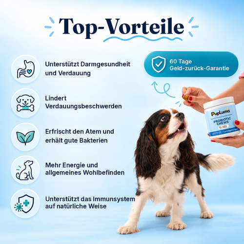 Probiotik-Snacks – Für eine gesunde Darmflora, bessere Verdauung und ein starkes Immunsystem bei Hunden