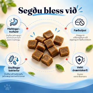 Probiotik-Snacks – Für eine gesunde Darmflora, bessere Verdauung und ein starkes Immunsystem bei Hunden