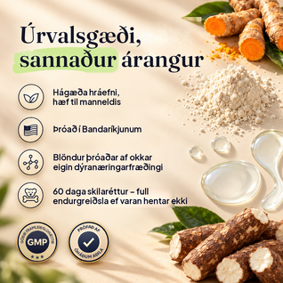 Probiotik-Snacks – Für eine gesunde Darmflora, bessere Verdauung und ein starkes Immunsystem bei Hunden